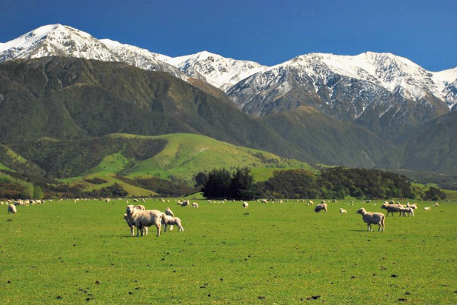 Південний острів - найкраще місце для пригодницького туризму в Новій Зеландії