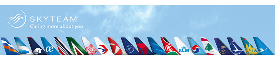 Учасники альянсу SkyTeam мають можливість запропонувати клієнтам більше рейсів, напрямків, більш широкий асортимент послуг і привілеїв