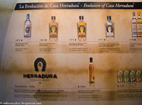 Найбільш продаваною текілою в Мексиці 2 роки тому була марка текіли Herradura Reposado