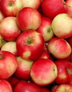 приготувати   яблучну брагу   можна без дріжджів, вірніше на диких дріжджах, вони знаходяться на самих фруктах, або додати родзинки, або замінити на пророщену пшеницю