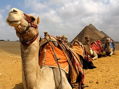Яскраве сонячне Єгипет, країна древніх реліквій і легендарних фараонів